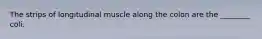 The strips of longitudinal muscle along the colon are the ________ coli.