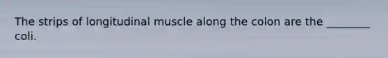 The strips of longitudinal muscle along the colon are the ________ coli.