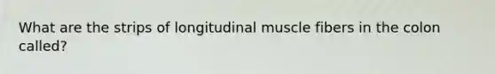 What are the strips of longitudinal muscle fibers in the colon called?