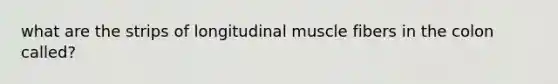 what are the strips of longitudinal muscle fibers in the colon called?