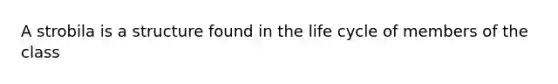 A strobila is a structure found in the life cycle of members of the class