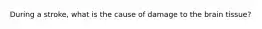 During a stroke, what is the cause of damage to the brain tissue?