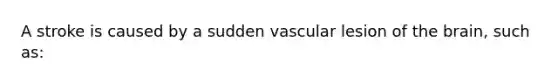 A stroke is caused by a sudden vascular lesion of the brain, such as: