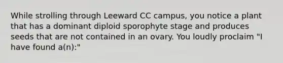 While strolling through Leeward CC campus, you notice a plant that has a dominant diploid sporophyte stage and produces seeds that are not contained in an ovary. You loudly proclaim "I have found a(n):"