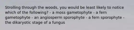 Strolling through the woods, you would be least likely to notice which of the following? - a moss gametophyte - a fern gametophyte - an angiosperm sporophyte - a fern sporophyte - the dikaryotic stage of a fungus