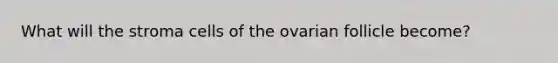 What will the stroma cells of the ovarian follicle become?