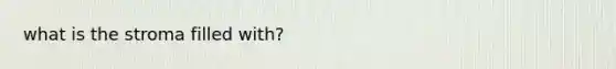 what is the stroma filled with?