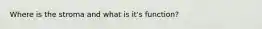 Where is the stroma and what is it's function?