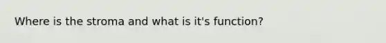 Where is the stroma and what is it's function?