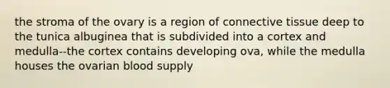 the stroma of the ovary is a region of <a href='https://www.questionai.com/knowledge/kYDr0DHyc8-connective-tissue' class='anchor-knowledge'>connective tissue</a> deep to the tunica albuginea that is subdivided into a cortex and medulla--the cortex contains developing ova, while the medulla houses the ovarian blood supply