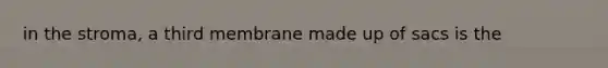 in the stroma, a third membrane made up of sacs is the