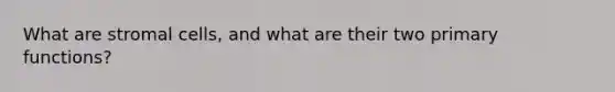 What are stromal cells, and what are their two primary functions?