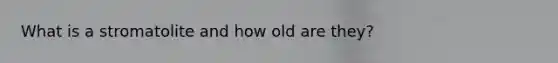 What is a stromatolite and how old are they?