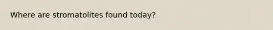 Where are stromatolites found today?