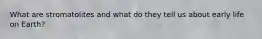 What are stromatolites and what do they tell us about early life on Earth?