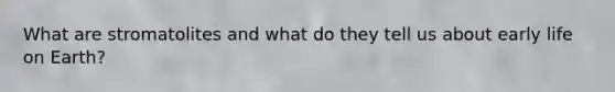 What are stromatolites and what do they tell us about early life on Earth?