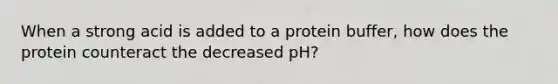 When a strong acid is added to a protein buffer, how does the protein counteract the decreased pH?