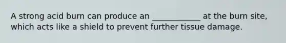 A strong acid burn can produce an ____________ at the burn site, which acts like a shield to prevent further tissue damage.