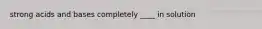 strong acids and bases completely ____ in solution