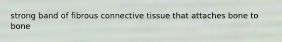 strong band of fibrous connective tissue that attaches bone to bone