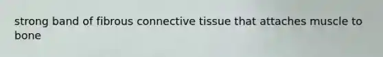 strong band of fibrous connective tissue that attaches muscle to bone