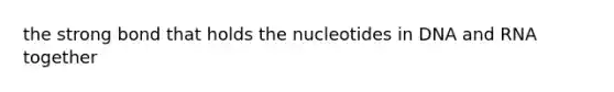 the strong bond that holds the nucleotides in DNA and RNA together