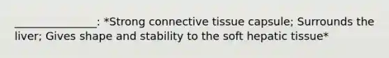 _______________: *Strong connective tissue capsule; Surrounds the liver; Gives shape and stability to the soft hepatic tissue*