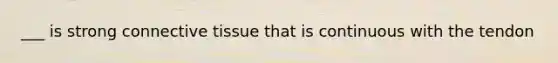 ___ is strong connective tissue that is continuous with the tendon