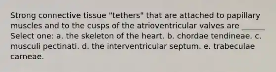 Strong <a href='https://www.questionai.com/knowledge/kYDr0DHyc8-connective-tissue' class='anchor-knowledge'>connective tissue</a> "tethers" that are attached to papillary muscles and to the cusps of the atrioventricular valves are ______ Select one: a. the skeleton of <a href='https://www.questionai.com/knowledge/kya8ocqc6o-the-heart' class='anchor-knowledge'>the heart</a>. b. chordae tendineae. c. musculi pectinati. d. the interventricular septum. e. trabeculae carneae.