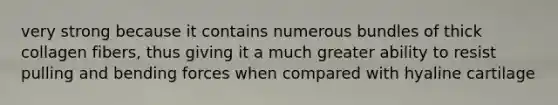 very strong because it contains numerous bundles of thick collagen fibers, thus giving it a much greater ability to resist pulling and bending forces when compared with hyaline cartilage