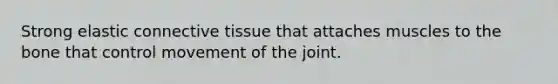 Strong elastic <a href='https://www.questionai.com/knowledge/kYDr0DHyc8-connective-tissue' class='anchor-knowledge'>connective tissue</a> that attaches muscles to the bone that control movement of the joint.