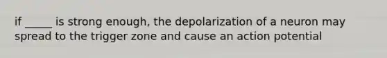 if _____ is strong enough, the depolarization of a neuron may spread to the trigger zone and cause an action potential