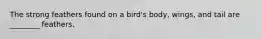 The strong feathers found on a bird's body, wings, and tail are ________ feathers.