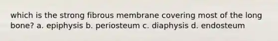 which is the strong fibrous membrane covering most of the long bone? a. epiphysis b. periosteum c. diaphysis d. endosteum