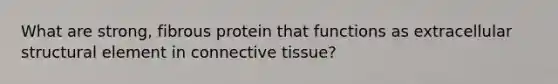 What are strong, fibrous protein that functions as extracellular structural element in connective tissue?