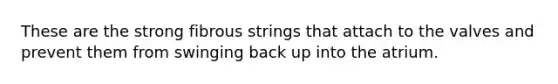 These are the strong fibrous strings that attach to the valves and prevent them from swinging back up into the atrium.