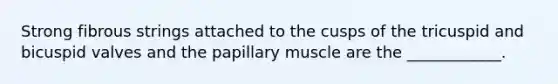 Strong fibrous strings attached to the cusps of the tricuspid and bicuspid valves and the papillary muscle are the ____________.