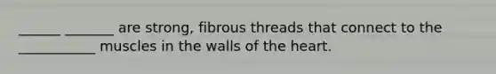 ______ _______ are strong, fibrous threads that connect to the ___________ muscles in the walls of the heart.