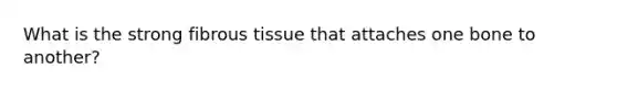 What is the strong fibrous tissue that attaches one bone to another?