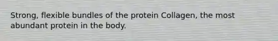 Strong, flexible bundles of the protein Collagen, the most abundant protein in the body.