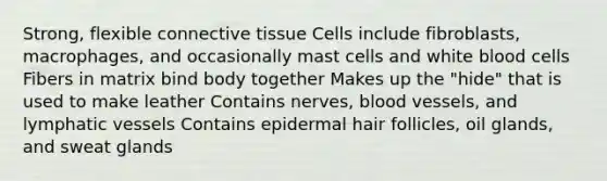 Strong, flexible <a href='https://www.questionai.com/knowledge/kYDr0DHyc8-connective-tissue' class='anchor-knowledge'>connective tissue</a> Cells include fibroblasts, macrophages, and occasionally mast cells and white blood cells Fibers in matrix bind body together Makes up the "hide" that is used to make leather Contains nerves, <a href='https://www.questionai.com/knowledge/kZJ3mNKN7P-blood-vessels' class='anchor-knowledge'>blood vessels</a>, and lymphatic vessels Contains epidermal hair follicles, oil glands, and sweat glands