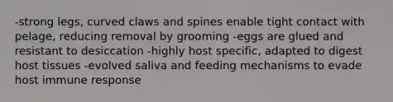 -strong legs, curved claws and spines enable tight contact with pelage, reducing removal by grooming -eggs are glued and resistant to desiccation -highly host specific, adapted to digest host tissues -evolved saliva and feeding mechanisms to evade host immune response