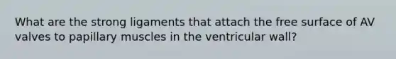 What are the strong ligaments that attach the free surface of AV valves to papillary muscles in the ventricular wall?