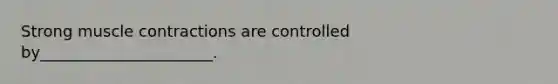Strong muscle contractions are controlled by______________________.