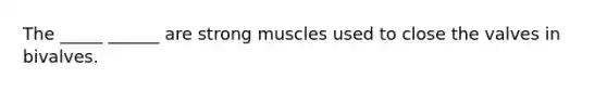 The _____ ______ are strong muscles used to close the valves in bivalves.