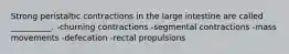 Strong peristaltic contractions in the large intestine are called __________. -churning contractions -segmental contractions -mass movements -defecation -rectal propulsions