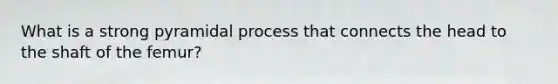 What is a strong pyramidal process that connects the head to the shaft of the femur?