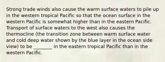 Strong trade winds also cause the warm surface waters to pile up in the western tropical Pacific so that the ocean surface in the western Pacific is somewhat higher than in the eastern Pacific. Transport of surface waters to the west also causes the thermocline (the transition zone between warm surface water and cold deep water shown by the blue layer in the ocean side view) to be ________ in the eastern tropical Pacific than in the western Pacific.