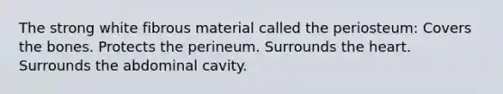 The strong white fibrous material called the periosteum: Covers the bones. Protects the perineum. Surrounds the heart. Surrounds the abdominal cavity.