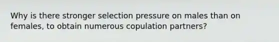 Why is there stronger selection pressure on males than on females, to obtain numerous copulation partners?